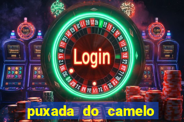 puxada do camelo jogo do bicho